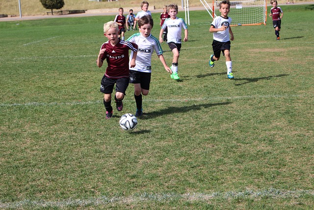 日本有一位 日本有一位