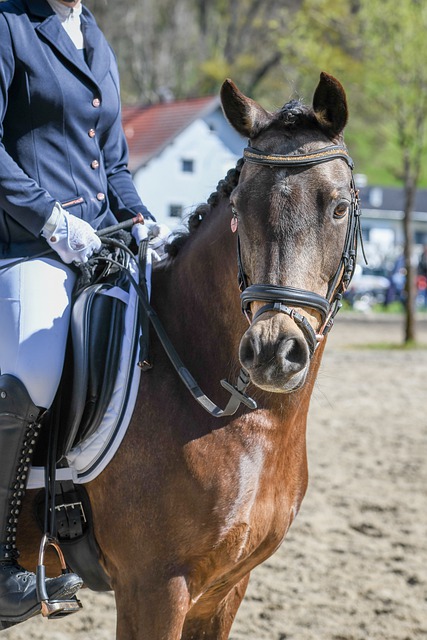 而是选择在 而是选择在