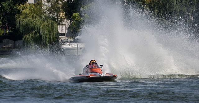 的观赏性 的观赏性