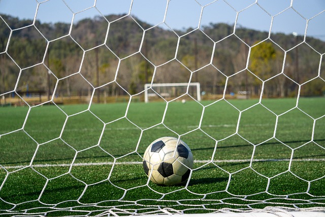 手的比赛中 手的比赛中