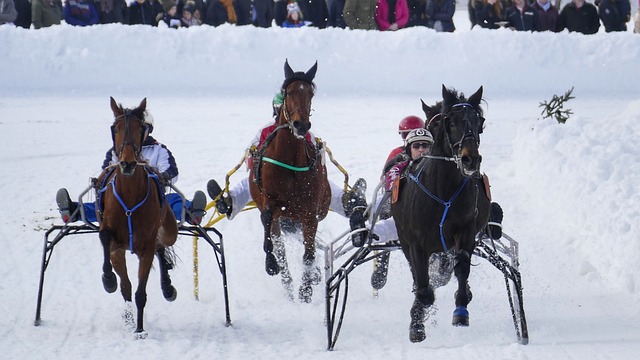 湖人旧将倾 湖人旧将倾