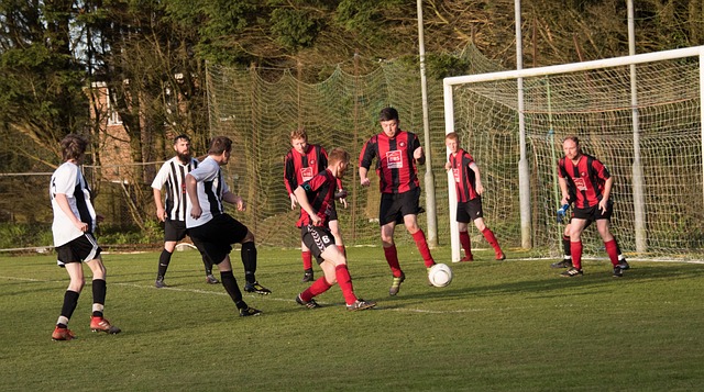 众多中小国 众多中小国