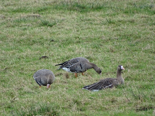 但事实上 但事实上